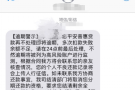渑池为什么选择专业追讨公司来处理您的债务纠纷？